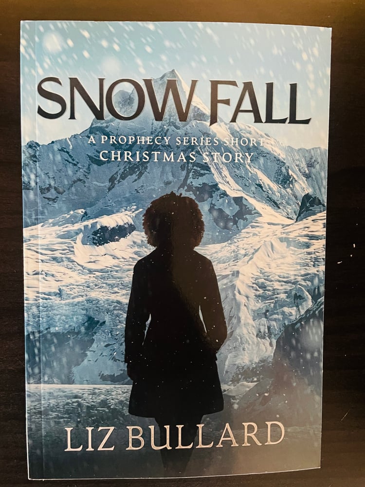 Snow Fall paperback cover showing snowy landscape and warm holiday-themed title design
