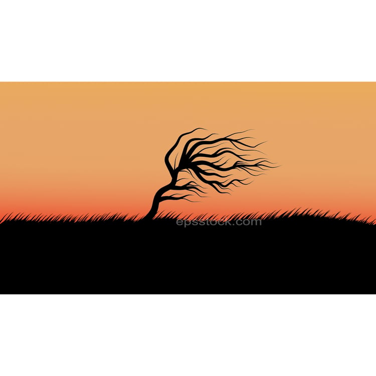 Deciduous tree in blowing wind