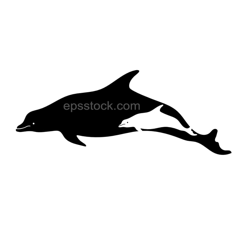 dolphin with baby