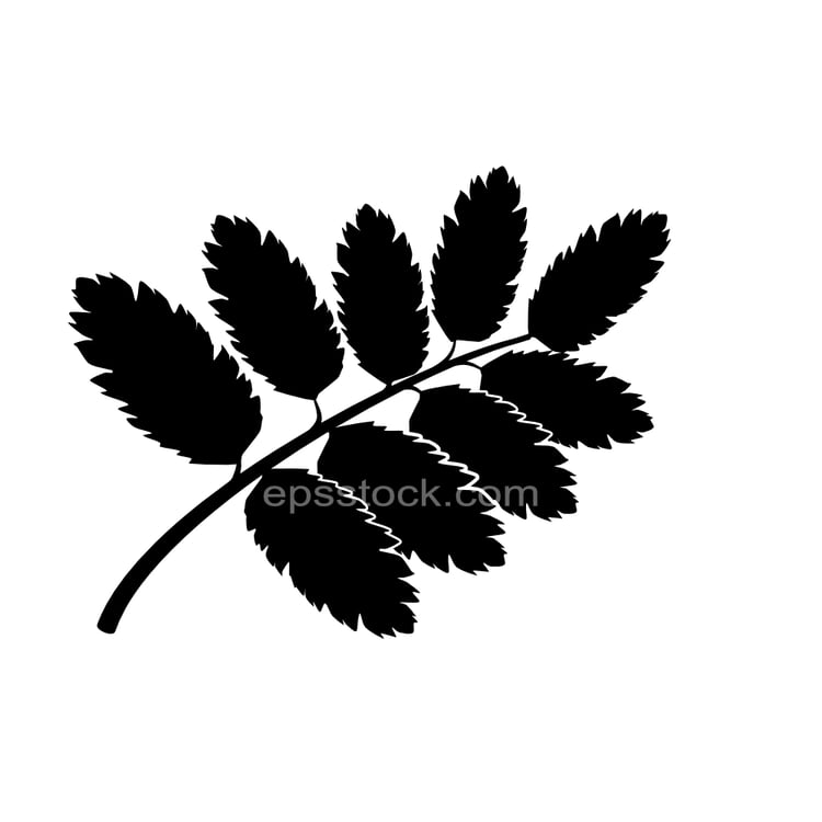 rowan leaf symbol