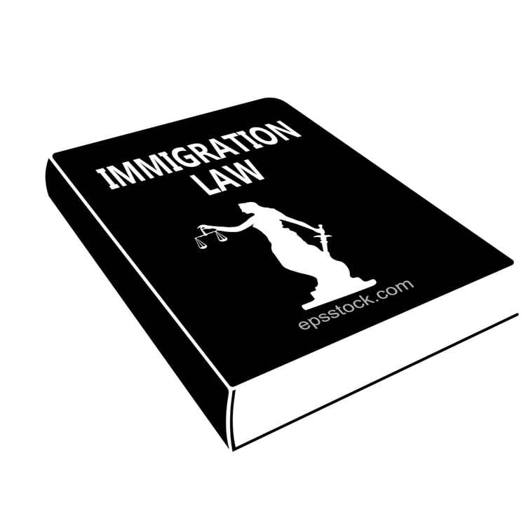 immigration law