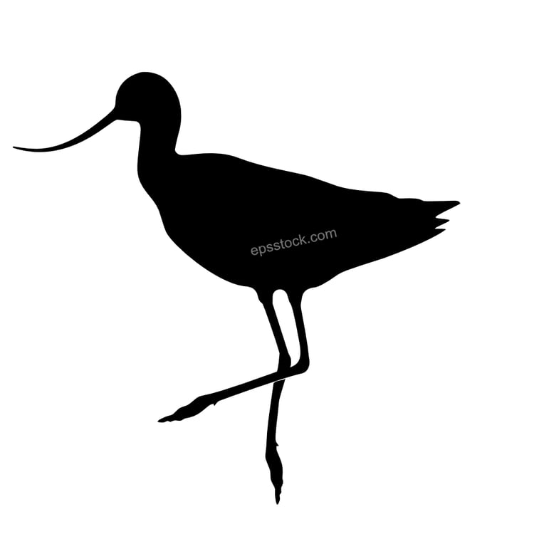 Avocet symbol
