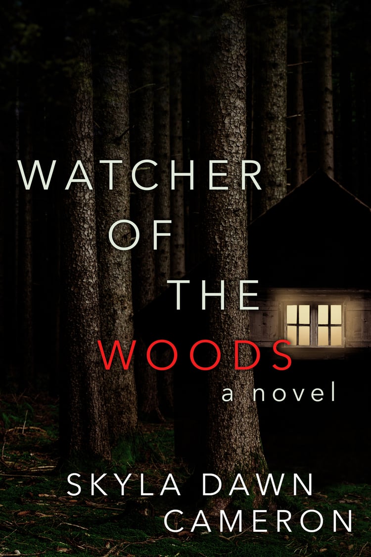 A cabin at night with a single light on in the dark forest.