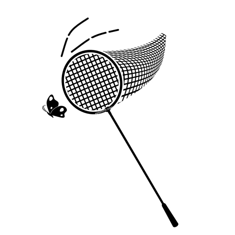butterfly catching net