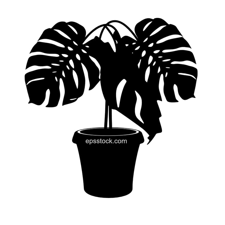 Leaves monstera pot