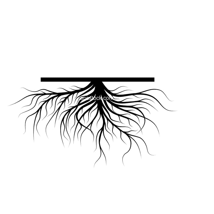 Tree root