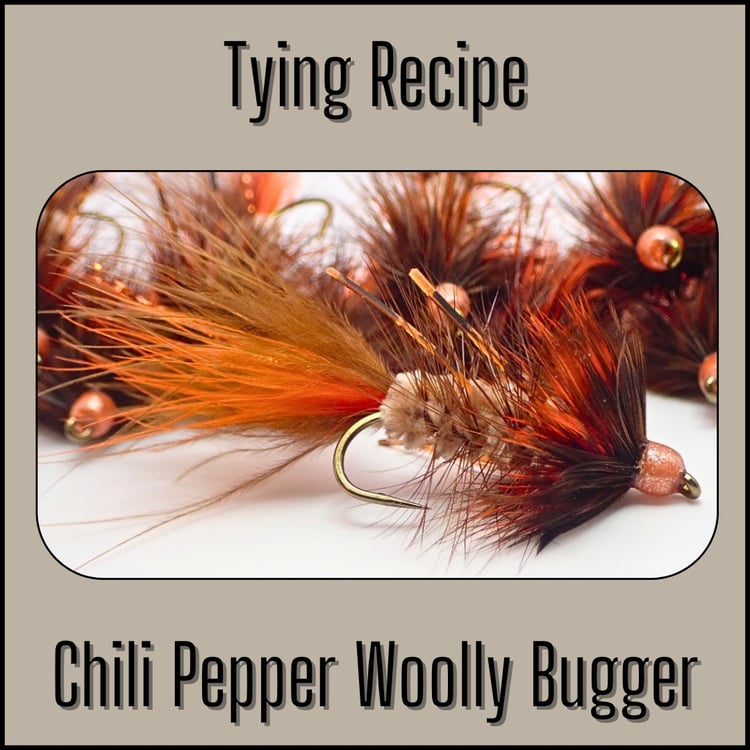 Tying recipe for the Chili Pepper Woolly Bugger, a bass fly crafted to imitate crayfish.
