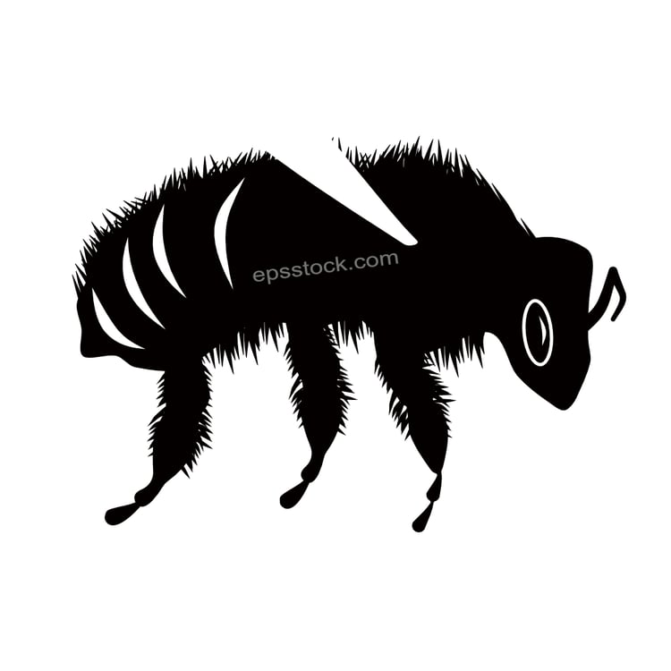 Honey Bee