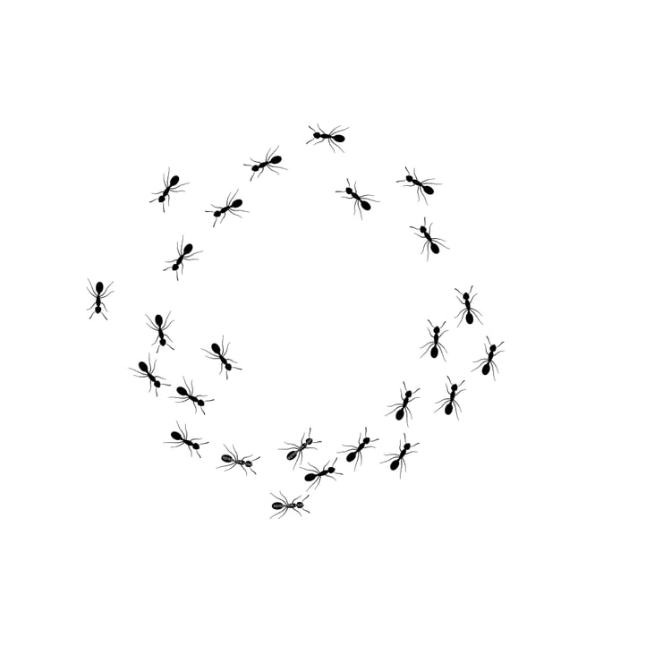 Ant mill