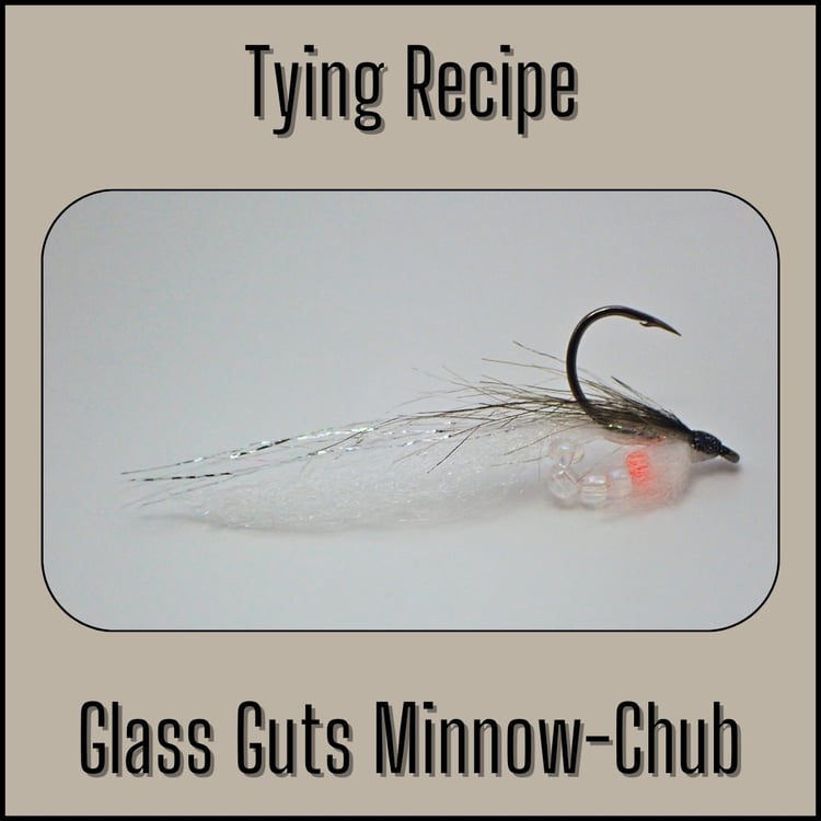 Tying recipe for the Glass Guts Minnow bass streamer in Chub colors, designed by The Fly Guy, Matt Campbell.