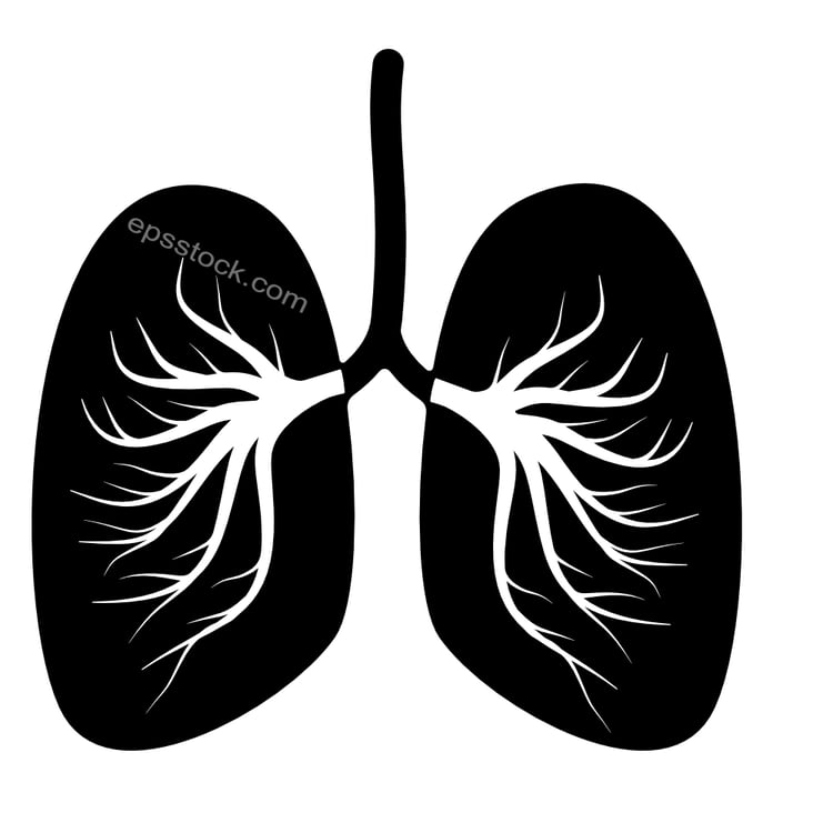 human lungs symbol