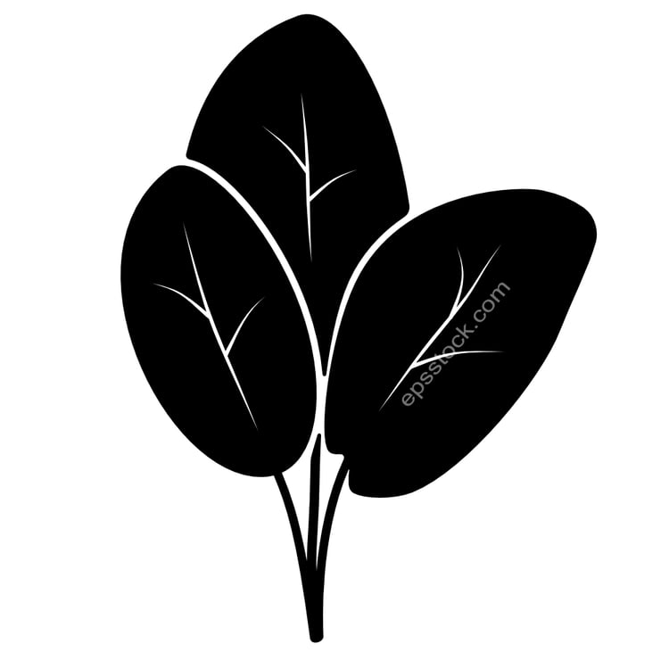 leaf sage