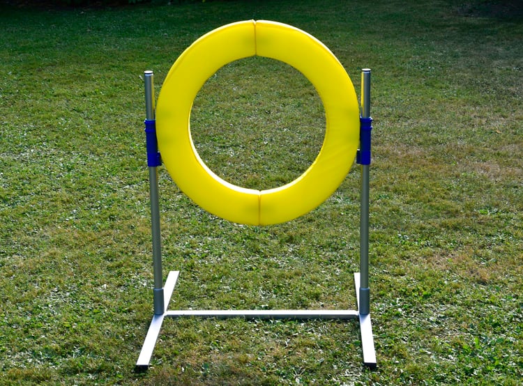 Agility Reifen Turnier