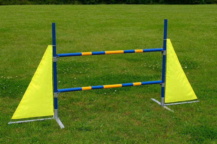Agility Hürde Hund