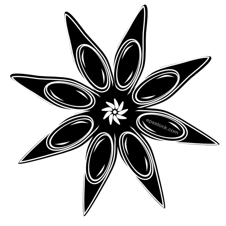 anise star