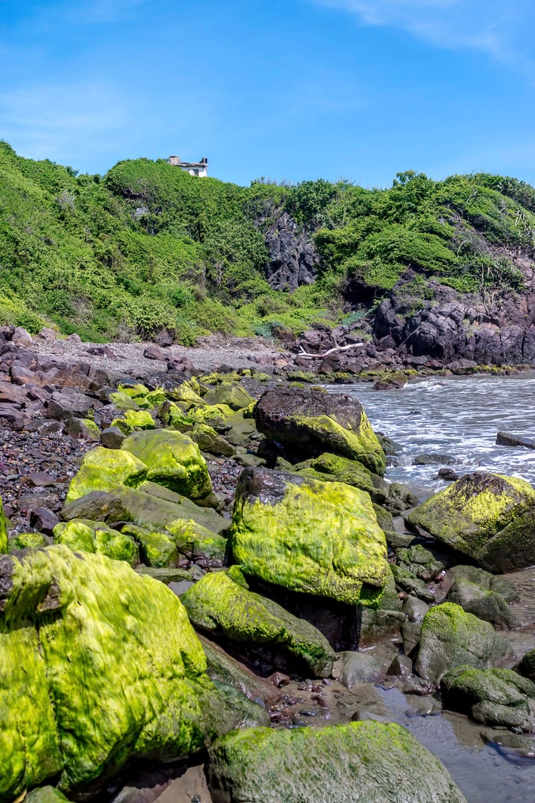 coastal wall art, moss rocks photography, green nature wall decor, ocean landscape print, tropical shoreline photo, digital download wall art, seascape photography, coastal home decor, nature inspired artwork, printable beach photo