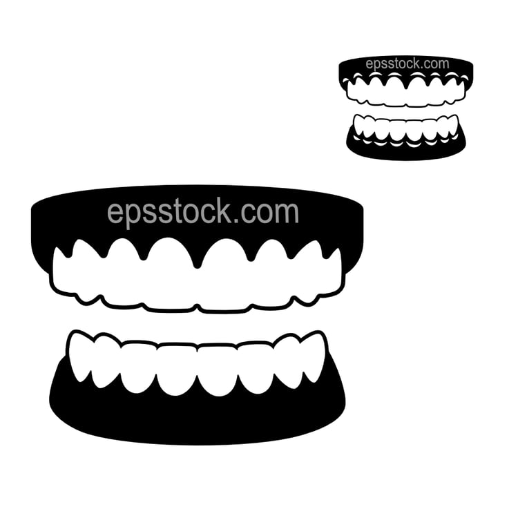 human teeth front view