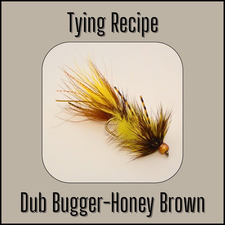 Tying recipe for the Honey Brown Dub Bugger, a trout woolly bugger fly by Matt Campbell, The Fly Guy.