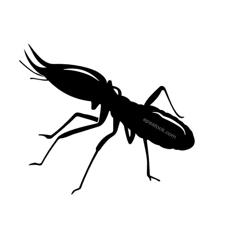termite  symbol