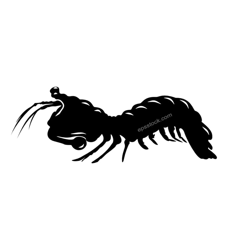Mantis shrimp symbol