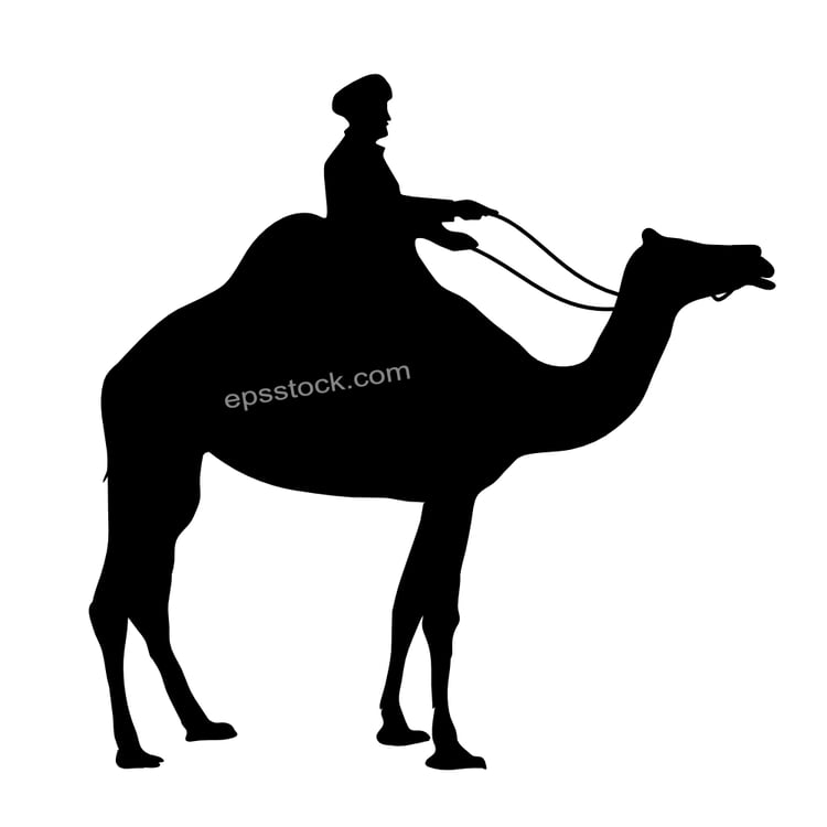 Man riding camel