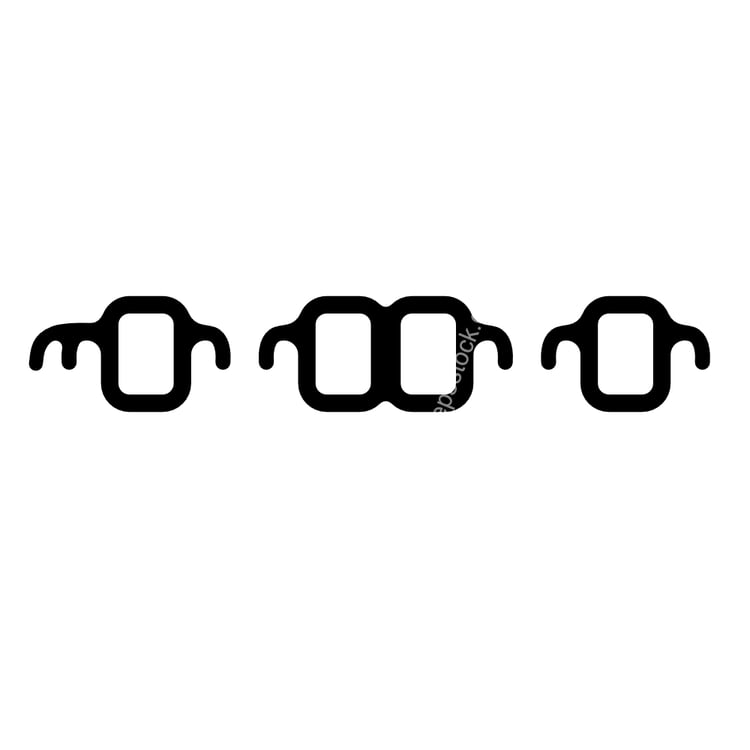 Exhaust Manifold Gasket