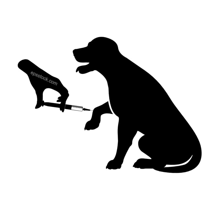 dog vaccination