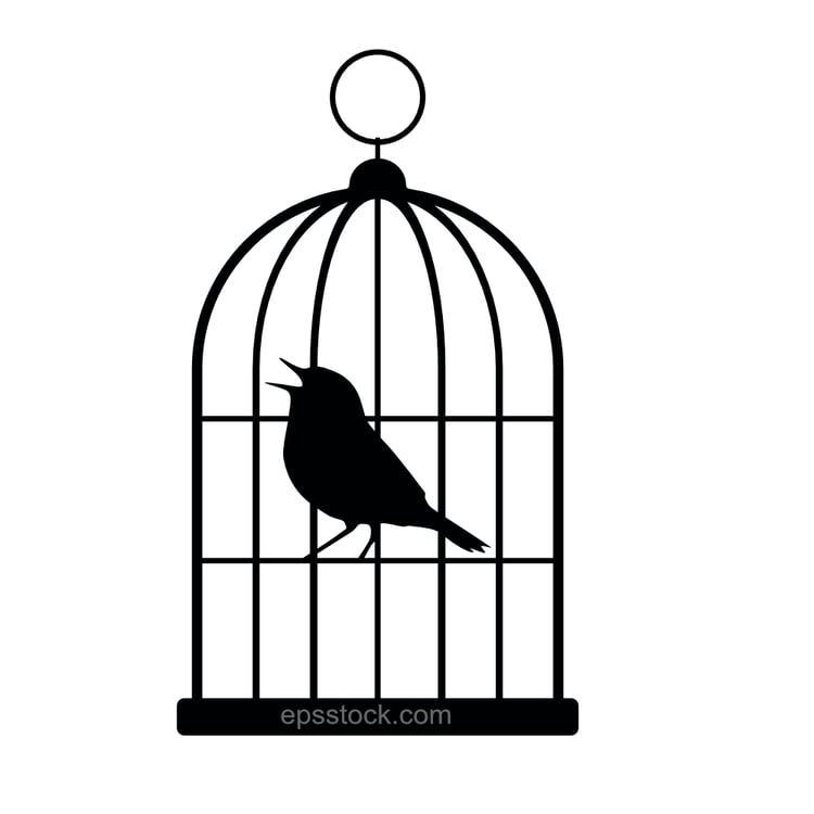 Bird in cage