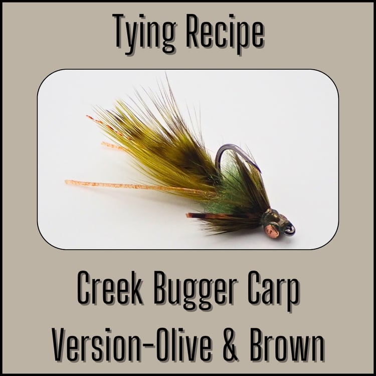 Tying recipe for the Olive & Brown Creek Bugger Carp Version woolly bugger fly designed by The Fly Guy, Matt Campbell.