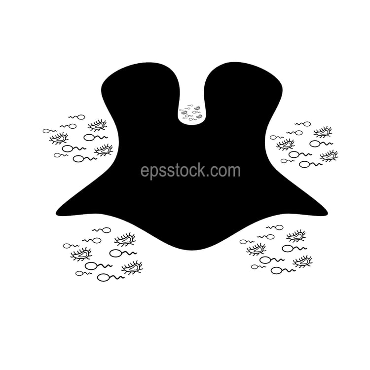 bacteria in the oral cavity