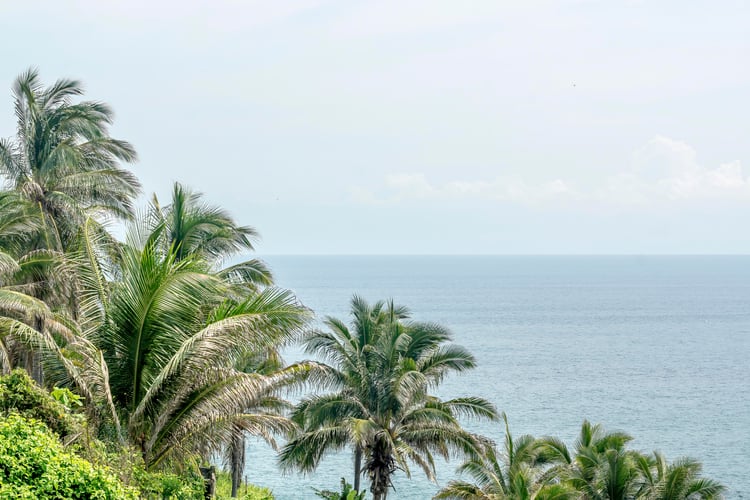 coastal photography print, palm trees ocean view, tropical wall art, seaside home decor, beach house artwork, ocean horizon photo, tropical nature print, calm seascape art, tropical landscape decor, printable coastal photo