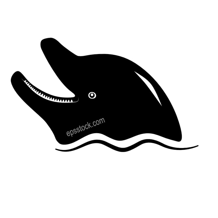 dolphin looking out of water