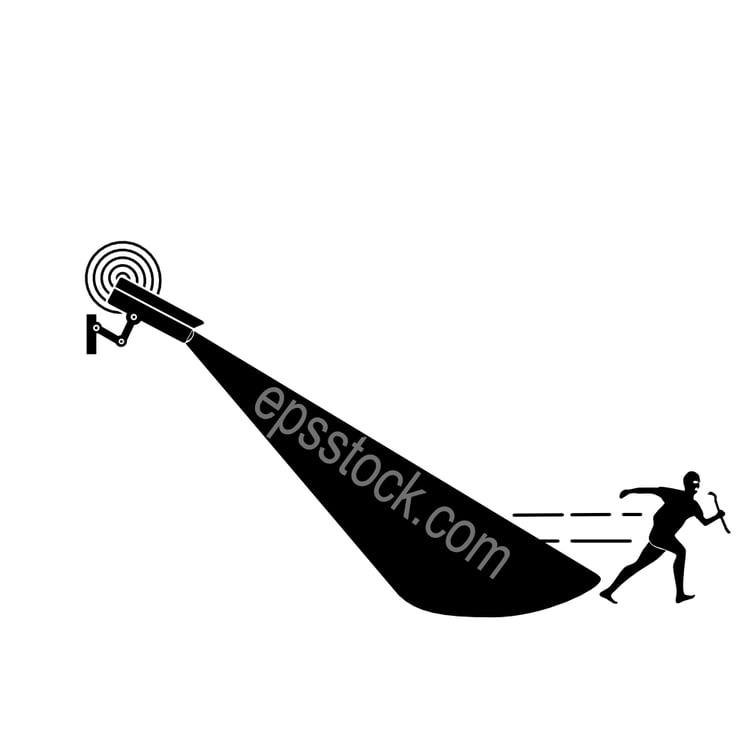 CCTV camera films robber