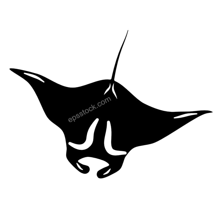 oceanic manta ray