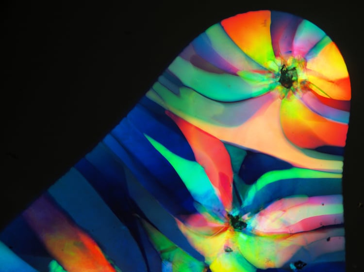 Abstract Microscope Art, Colloidal Crystallization