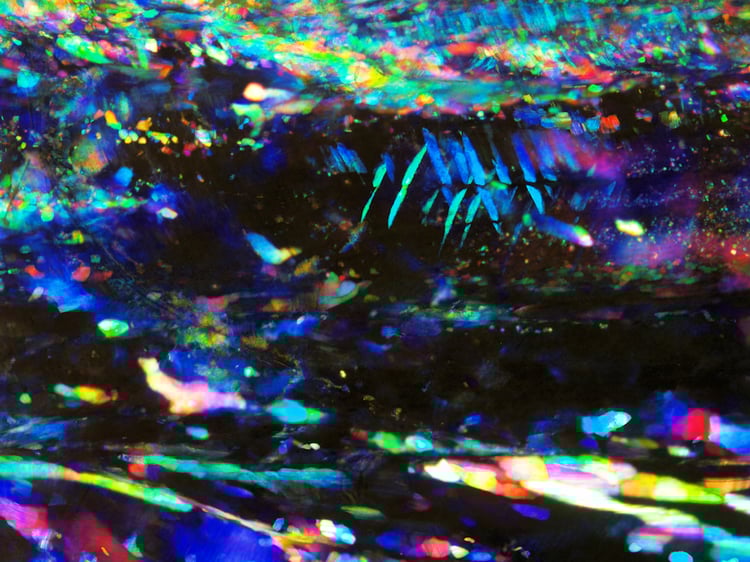 Abstract Scientific Art, Colloidal Crystals