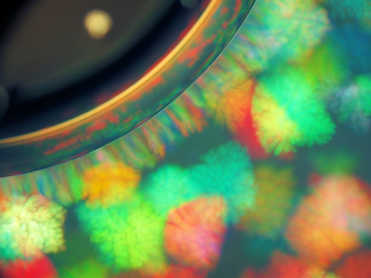 Abstract Science Art, Colloidal Crystallization