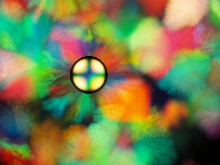 Science Art, Structural Colors