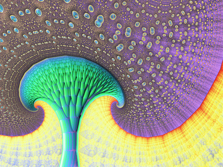 Mathematical Art, Software Generated 3D Fractal Art