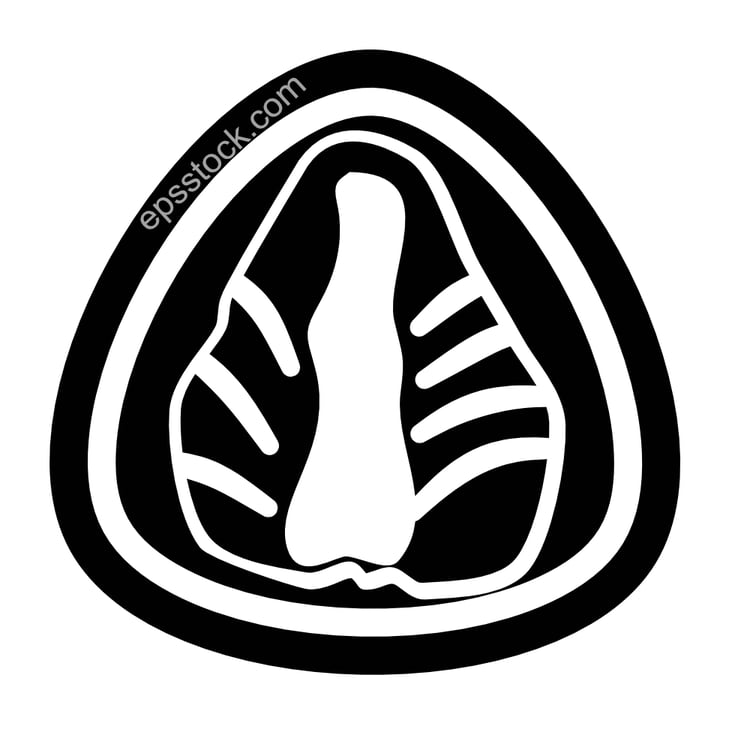 Fresh Strawberry Mochi