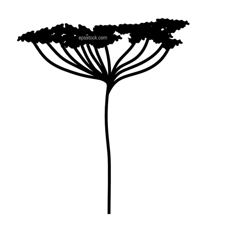 Fennel flower emblem