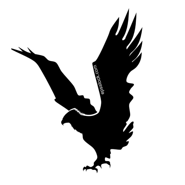 eagle with spread wings