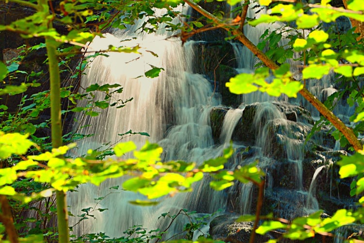 forest waterfall, sunlit waterfall, cascading falls, nature photography, waterfall in woods, green forest scenery, waterfall art print, M.A.L.K photography, photodeck nature, google images waterfall, high resolution waterfall, waterfall background, peacef