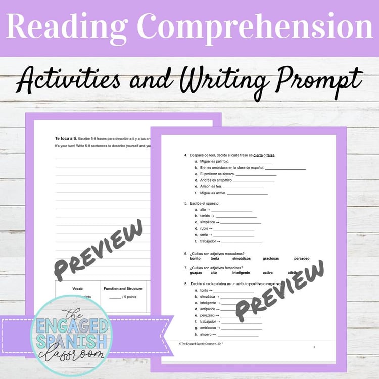 Editable Spanish Ser and Adjectives Reading and Activities | Subject Pronouns