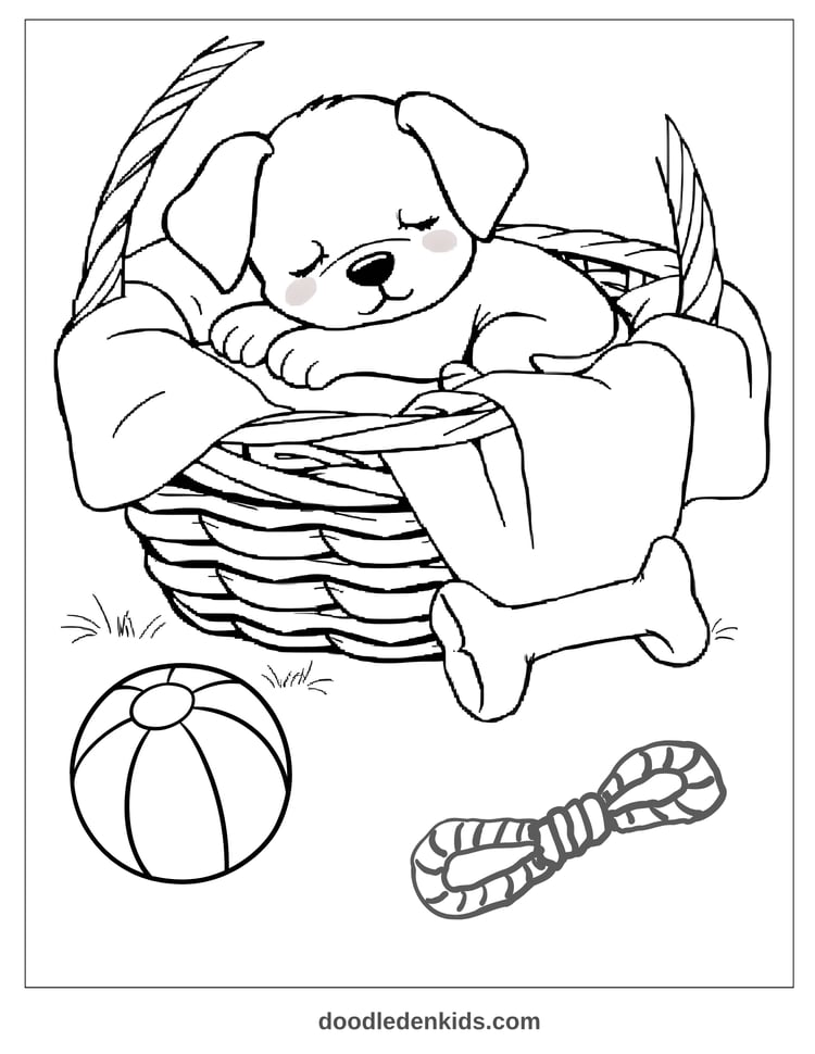 Sleepy cartoon puppy curled in a cozy basket with a blanket and toy bone, peaceful coloring page.