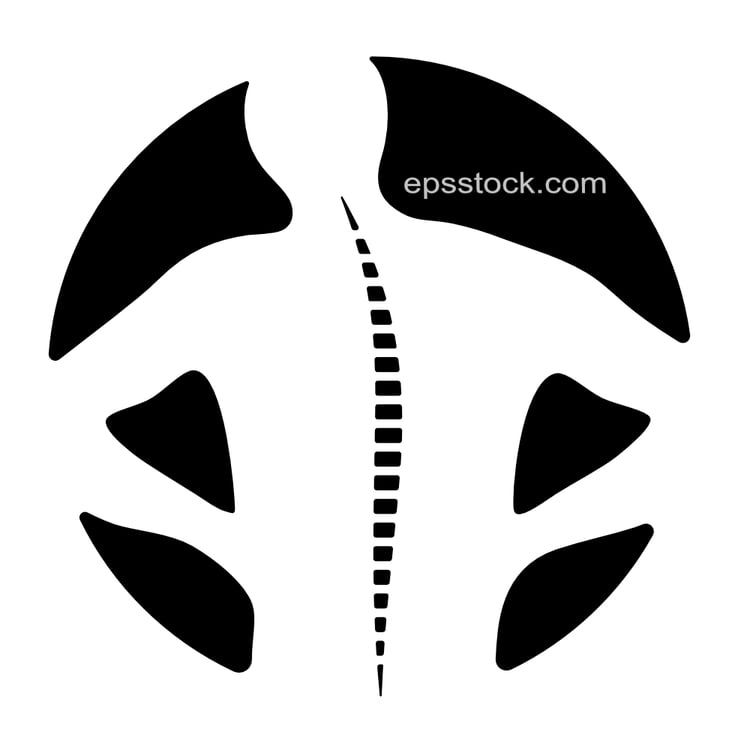 Spine Back Body