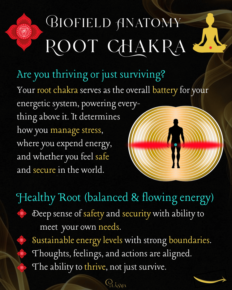 Biofield Anatomy - Root Chakra 1