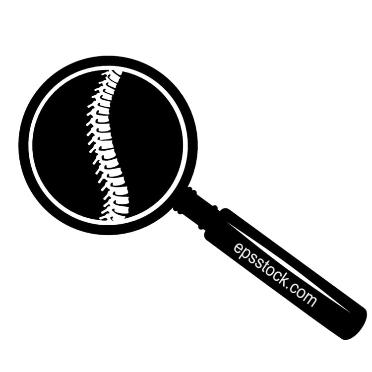 Human spine examination