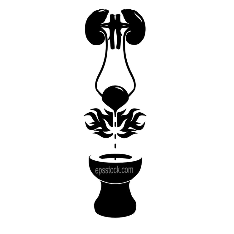 Burning sensation, severe pain and discomfort when urinating