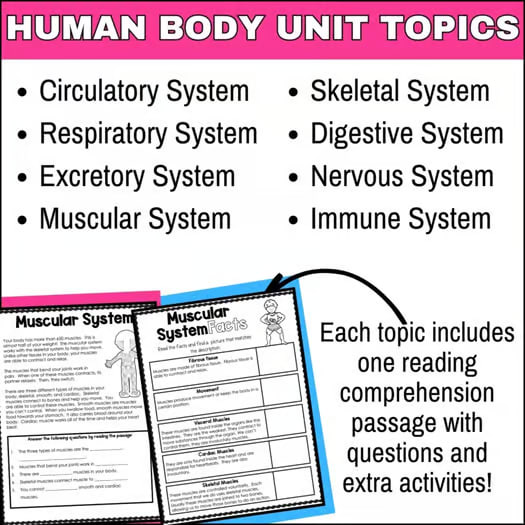 Human Body Systems Unit - Skeletal, Muscular, Nervous, Digestive, Circulatory